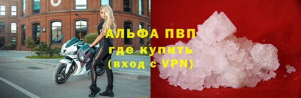 прущие грибы Балабаново