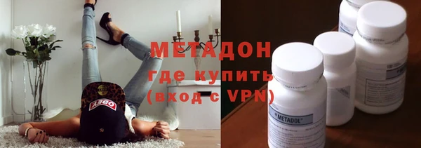 прущие грибы Балабаново