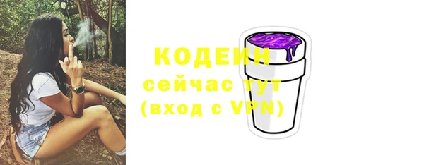 прущие грибы Балабаново