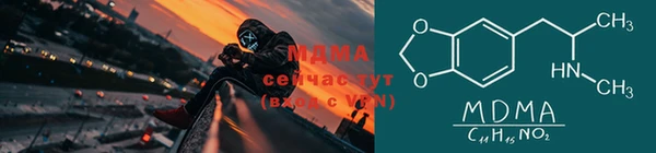 прущие грибы Балабаново