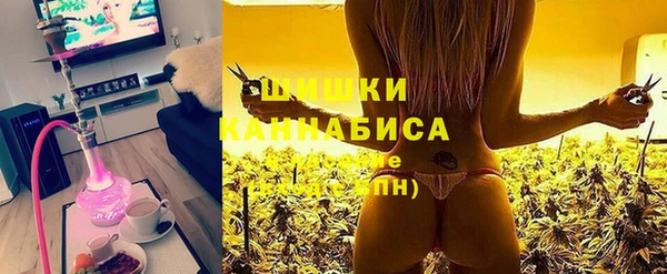 стаф Баксан