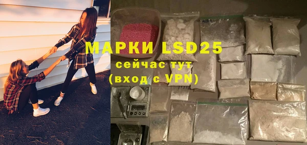 стаф Баксан