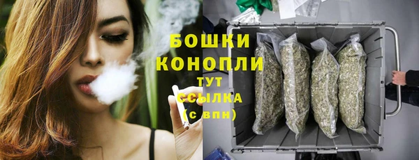 прущие грибы Балабаново