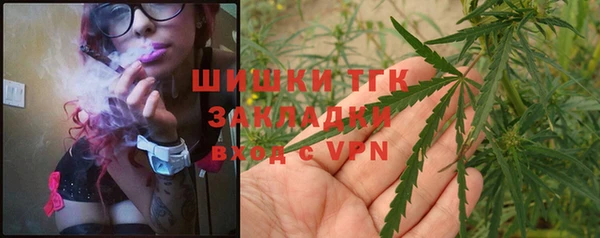 прущие грибы Балабаново